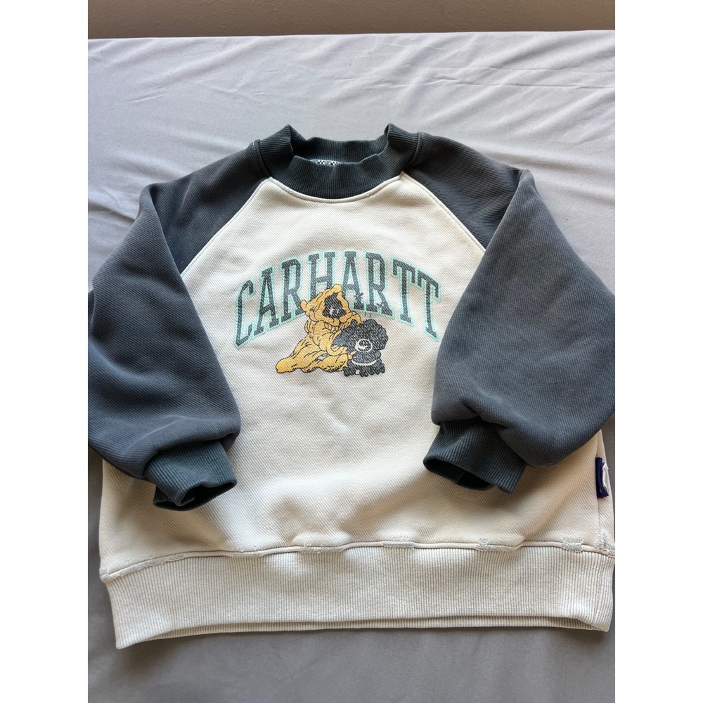 Carhartt Kids Colorblock Raglan Sweatshirt Cream Grey Embroidered Graphic DJXX
